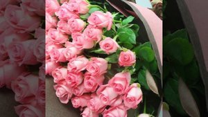 Я отдам тебе сердце ❤️ Владимир ЖУРАВЕЛЬ
