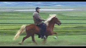 Распевка - "От топота копыт пыль по полю летит" (минус).