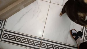 Огурцы сегодня все с удовольствием погрызли.