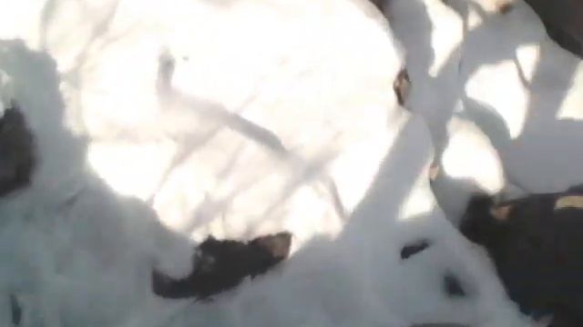 Vlog #3 Баржи и очаровательная старушка смотреть онлайн