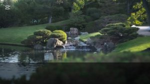 Настоящие мужчины ПРОЩАЮТ измену!"усмехнулась моя доч