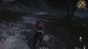 Задание: A miracle chase -Чудо погоня "Once Human"