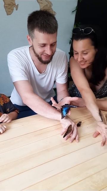 Дом бабочек Миасс #дети #butterfly #бабочки смотреть онлайн