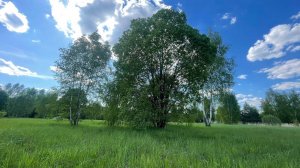 Участок 18.8 сотки. Топовая локация, лучшее расположение