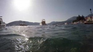 Rose, Herceg Novi