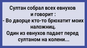 Как в Гареме Наложниц Обрюхатили! Сборник Свежих Анекдотов! Юмор!