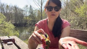 Как сделать инструмент для простукиваний. Цигун