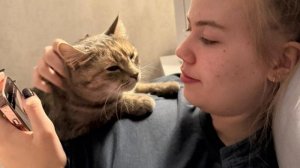 Не запутаться практически невозможно..., но все хвостики дома! | Айни, Айви, Селина и Мия