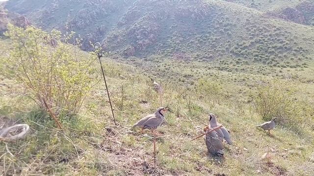 26 мая 2023 г. смотреть онлайн