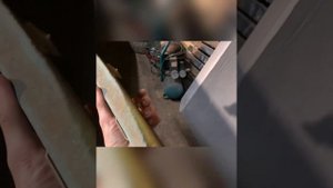 Купили и восстановили катер 1973 года нептун 2