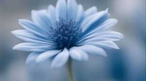 Открытка с добрым утром понедельника – зарядитесь энергией на весь день! ⚡#пожеланиянакаждыйдень