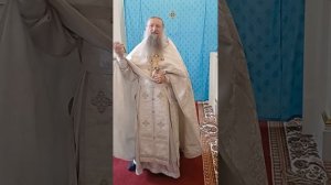 30.05.2025. О важности тела человека.