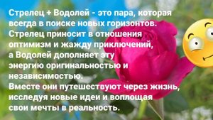 Космическая любовь: самые крепкие пары по знаку Зодиа?