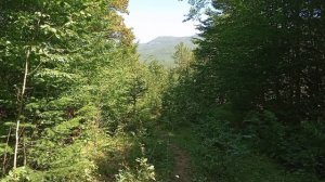 Большой летний выход 2020. 5. Собор-скала и Апшеронская У?