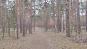 Гимн понедельника - пора на работу!