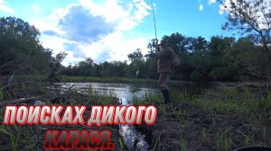 ПОИСКАХ ДИКОГО КАРАСЯ НА РЕЧКЕ. РЫБАЛКА НА ПОПЛАВОЧНУЮ СНАСТЬ.