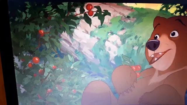 Братез медвежонок смотреть онлайн