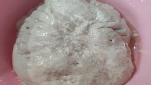 Жареные дрожжевые пирожки с картошкой