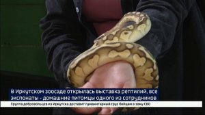 Выставка рептилий работает в Иркутском зоосаде