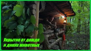 Кемпинг в диком лесу | Строю укрытие от непогоды и диких животных | Bushcraft camping