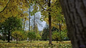 Этот клип даёт ощущение полной свободы - Du kennst mich nicht -- Berstgefahr -- Berstgefahr