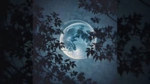 Дмитрий Кравченко — А ты когда-нибудь любила (вар1)