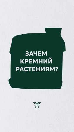 Зачем кремний растениям?