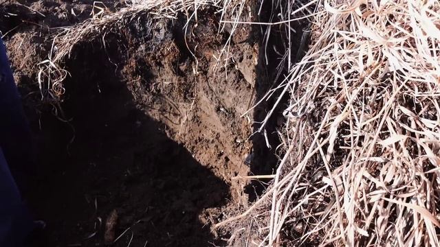 Мой первый шурф. Открыл сезон! смотреть онлайн