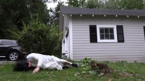 Momo Pranks Dogs: Funny Dogs Maymo & Potpie Have Fun with Momo