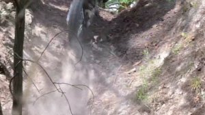 Питбайк Motoland NX125