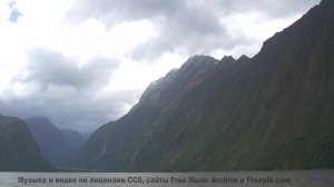 Он заставит тебя поверить в сказку снова! - Sunday Morning -- Podington Bear -- Haplessly Happy (Box