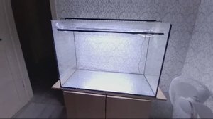 Ч 76 Больш.аквариум