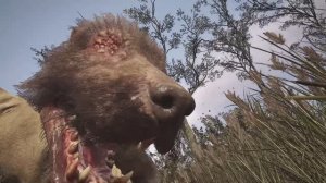 STALKER 2 #1 Прибытие в Зону