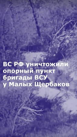 ВС РФ уничтожили опорный пункт бригады ВСУ у Малых Щербаков