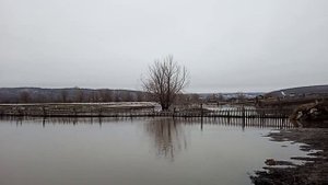 Ледокол или ледоход? Лед все колит и крушит.