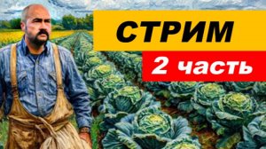 ⚡ Вечерний СТРИМ (2 часть)