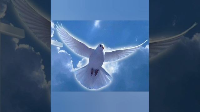 Юлия Славянская - "Иоанн Креститель ".
