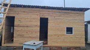 ЭТО ТРЭШ! ДАЛЬНЕВОСТОЧНЫЙ КОТ МЕТИТ И КОШКА ТОЖЕ ЗАВОН