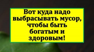 Вынос мусора по народным приметам — как избавиться от бедности, болезней и зла в доме