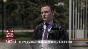 Говорящие ослы, единороги, шреки и прочая нечисть!