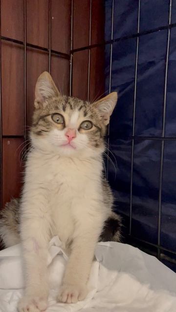 30-05-2025 смотреть онлайн