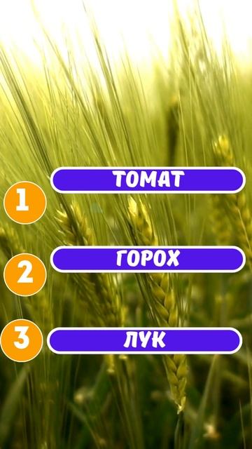 Огородные Хитрости: Проверь Свои Знания! #Огород #Сове? смотреть онлайн