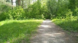 от пруда на СНТ Восток до пруда в Ботсаду
