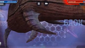 Поединок и новый гибрид"хромаспинус"!