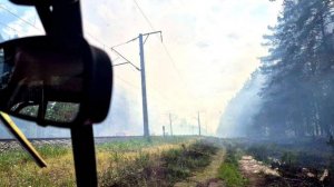 В Липецкой области произошел пожар на территории заповедника