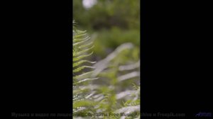 Шёпот волн и нежный синтез! - A New Day -- Scott Holmes Music -- Happy Background Music