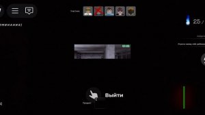 Пета Пета в Roblox