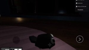 🎀ВОЖУ ЗА ПЕББЛА ТОЛЬКО С ПОДРУГОЙ В МИРЕ ДЕНДИ!!!🎀 #ро