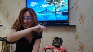 Сеги Меги птеродактили
