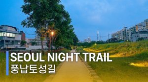 Seoul’s Hidden Night Trail： Rose Alley & Pungnap Earthen Fortress